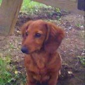 Meet your Posher, Cathy